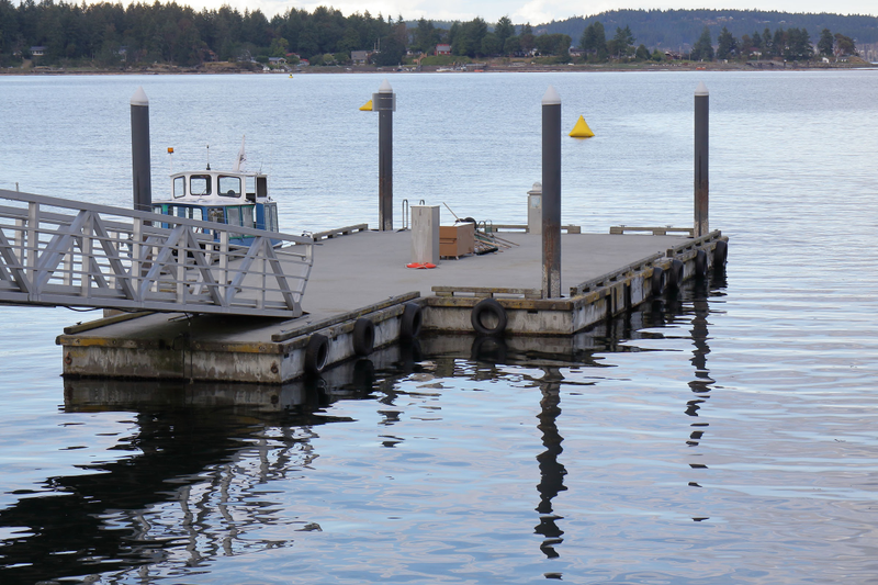 Illustration for article titled Pics from the Curbside: 2018-07-07 at Nanaimo